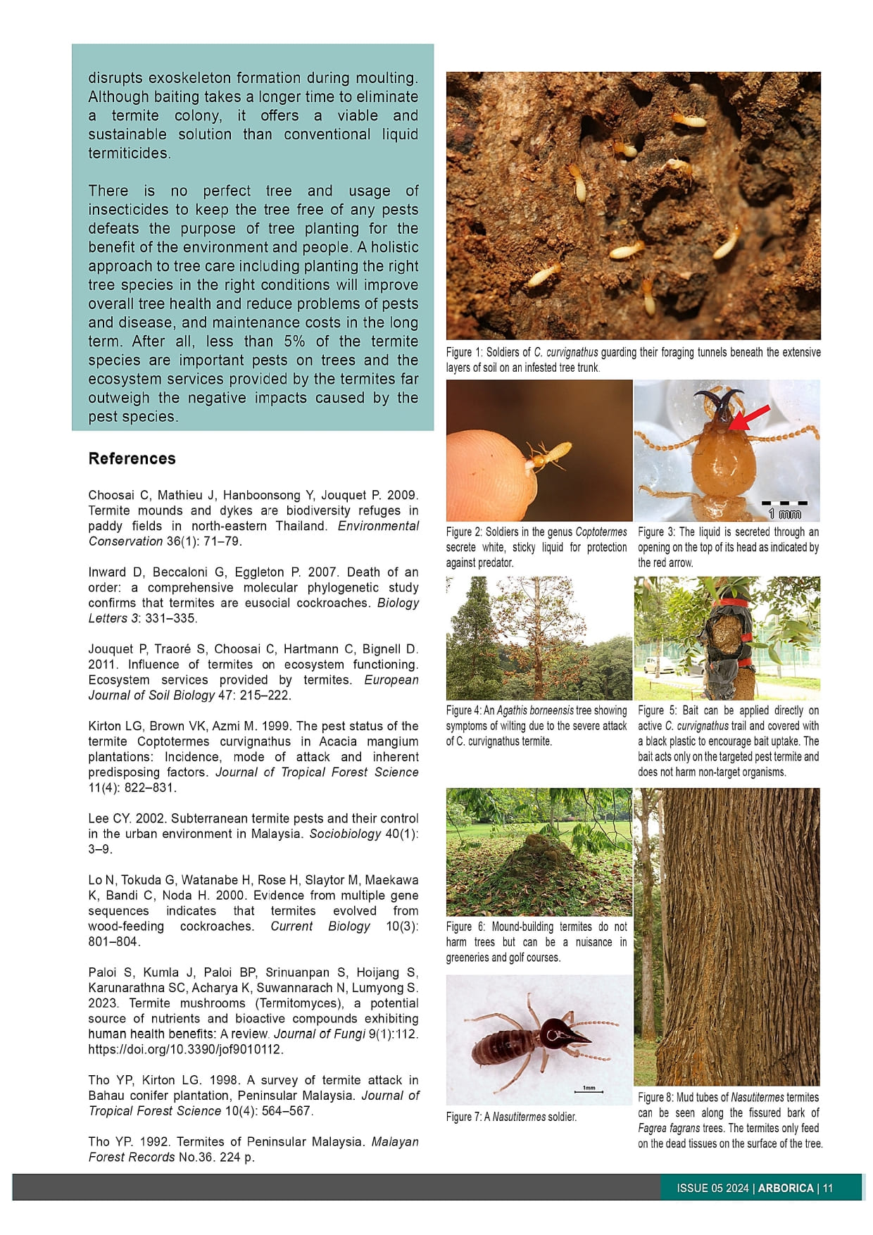 Issue Vol. 5 2024 Malaysian Society of Arborist